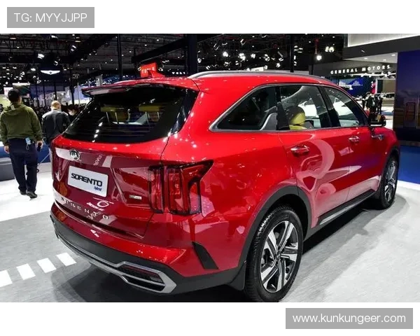 起亚曾赞助哪支意甲球队？合作案例与营销成效