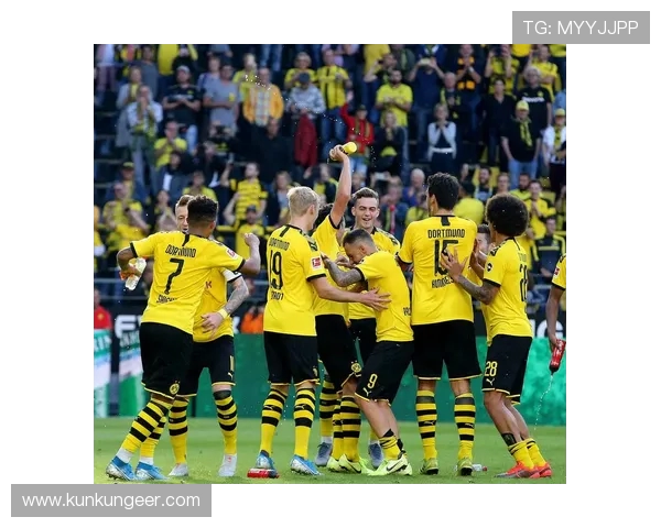 德甲历届球队资料与重要比赛回顾